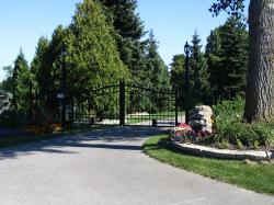Wrought Iron Electric Driveway Gate in Caledon.
